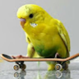 Meet your Posher, Christian